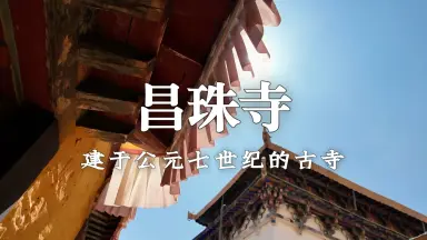 寺西徹-哔哩哔哩_Bilibili