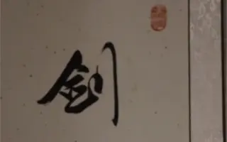 三域古茶-饮茶记-年秋季勐库小忙蚌纯料型#泡饮
