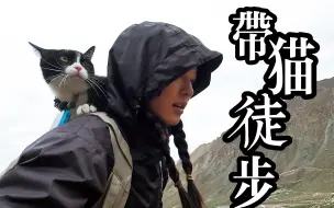 Descargar video: 带小猫咪转山冈仁波齐，54公里，耗时两天，走夜路流浪狗狗一路护送