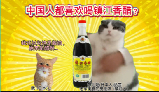 猫meme|中日差异之中国人都喜欢喝镇江香醋?哔哩哔哩bilibili