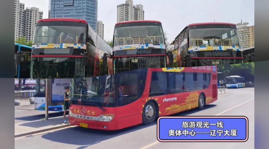 沈阳旅游观光巴士的改装奔驰!