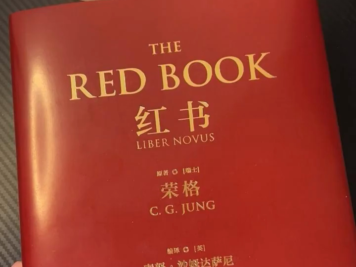 “全球十大神秘天书”之 !《红书》现在虽然读不懂它,相信多年后我能把它啃下来!哔哩哔哩bilibili