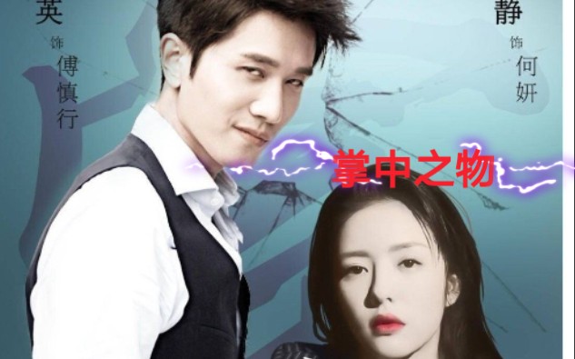 掌中之物傅慎行何妍puppet木偶傀儡