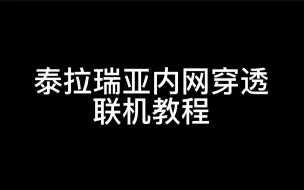 Download Video: 【泰拉瑞亚】一分半教会你稳定的IP联机