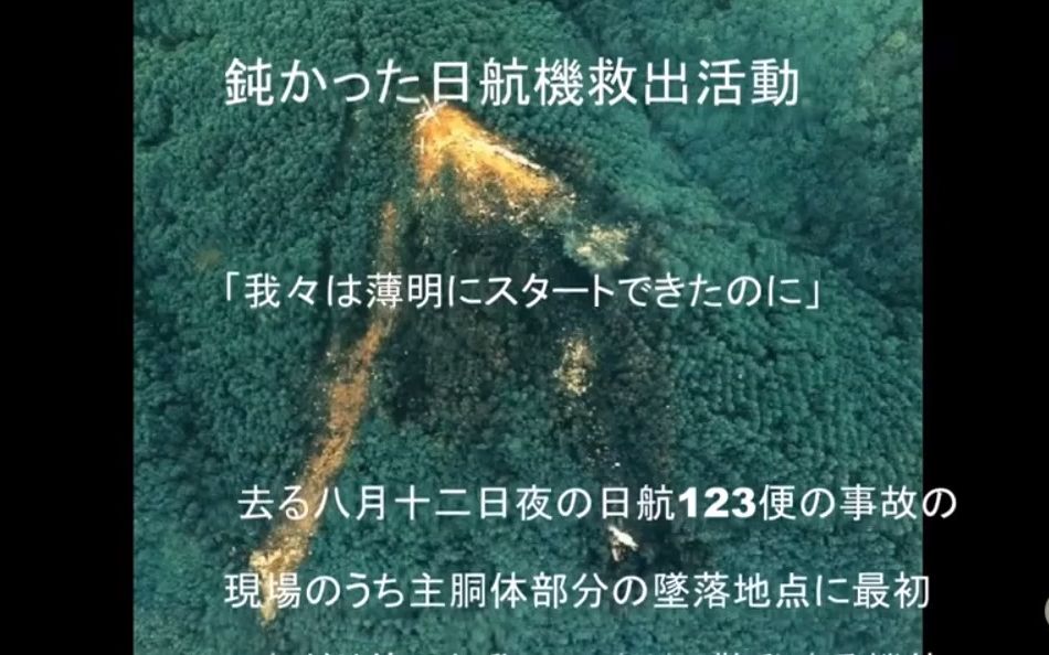 日航123便の真相に迫る①【深井純一教授の手記全文】