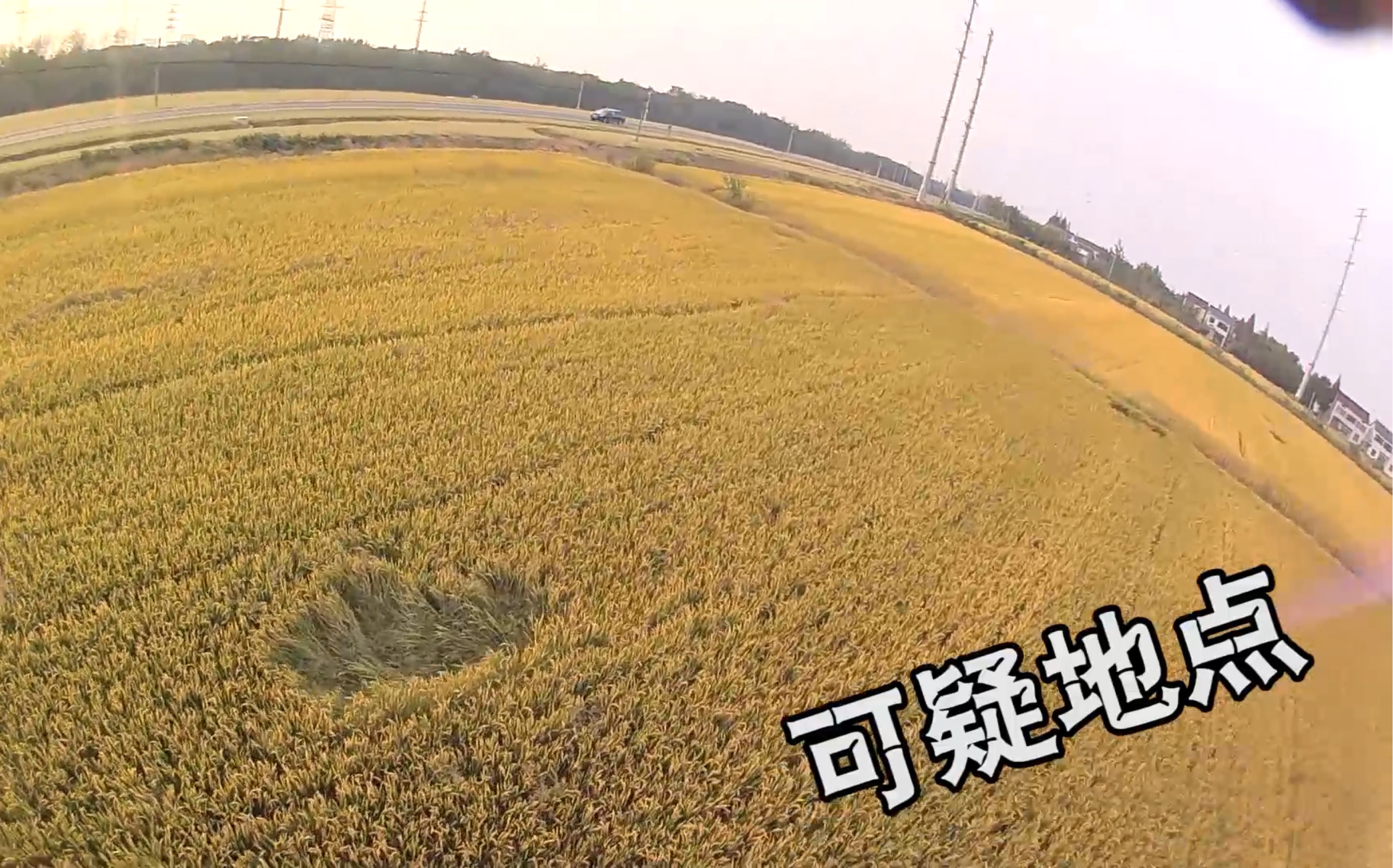 高空侦查隔壁老王在稻田里都干了啥