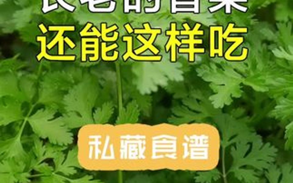 [图]有人说香菜是臭的，我为啥吃着咋这么香呢~，不过我们这香菜不叫香菜，叫芫荽，你们听说过吗？