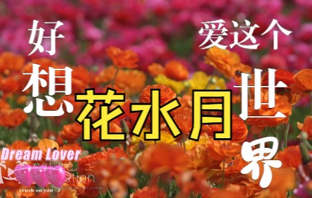 [图]每天一遍花水月，防止抑郁。。。。。