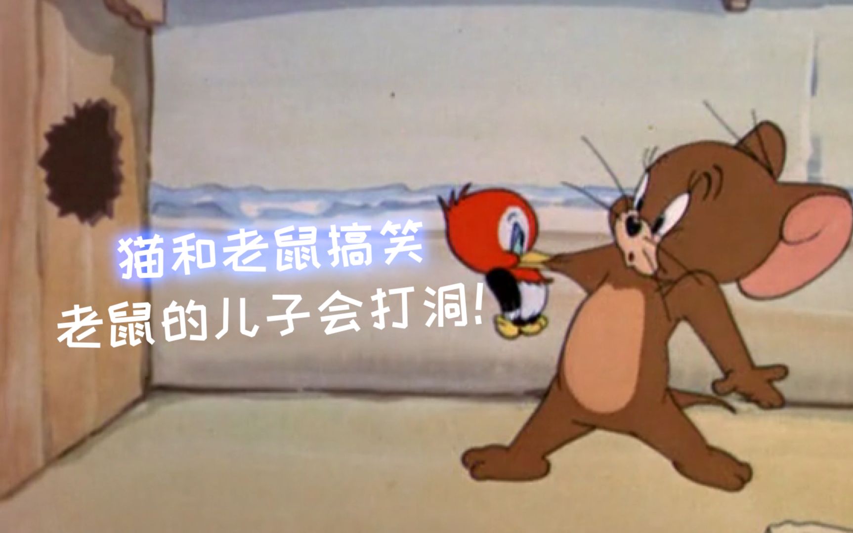 猫和老鼠四川话创意配音老鼠的儿子会打洞笑了还想笑