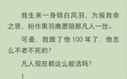 (完结版)我生来一身锦白凤羽,为报救命之恩,扮作黑羽鹰愿陪那凡人一世. 可是,我跟了他 100 年了,他怎么不老不死的?哔哩哔哩bilibili