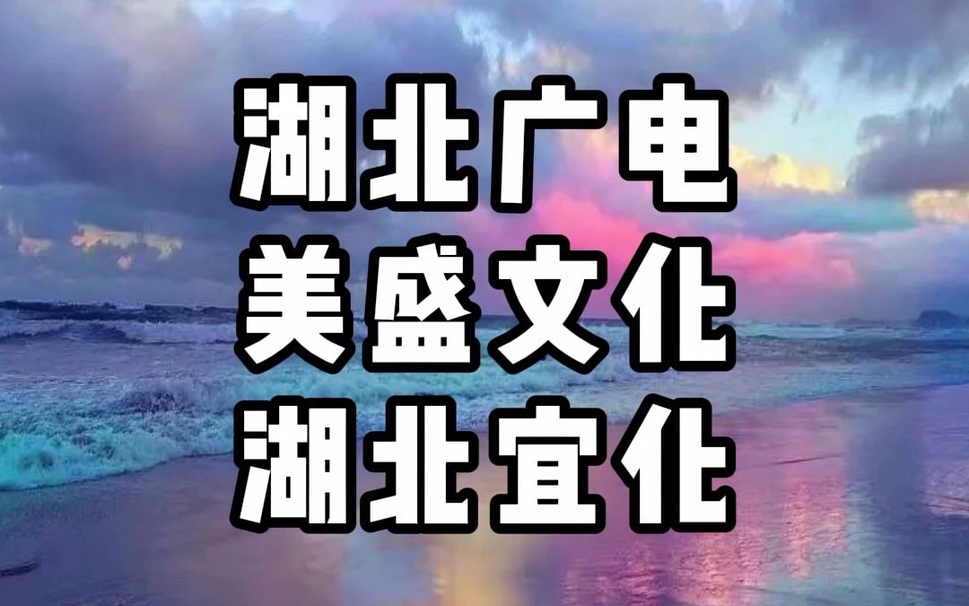 4.18湖北广电、美盛文化、湖北宜化主力大分析哔哩哔哩bilibili