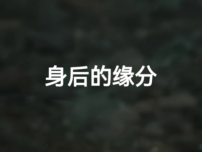 你的身后缘分是什么 快准狠哔哩哔哩bilibili