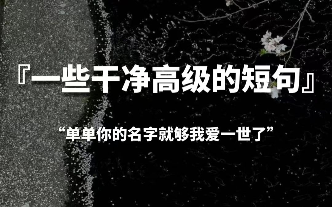 【句子控】“单单你的名字就够我爱一世了”,一些干净高级的短句哔哩哔哩bilibili