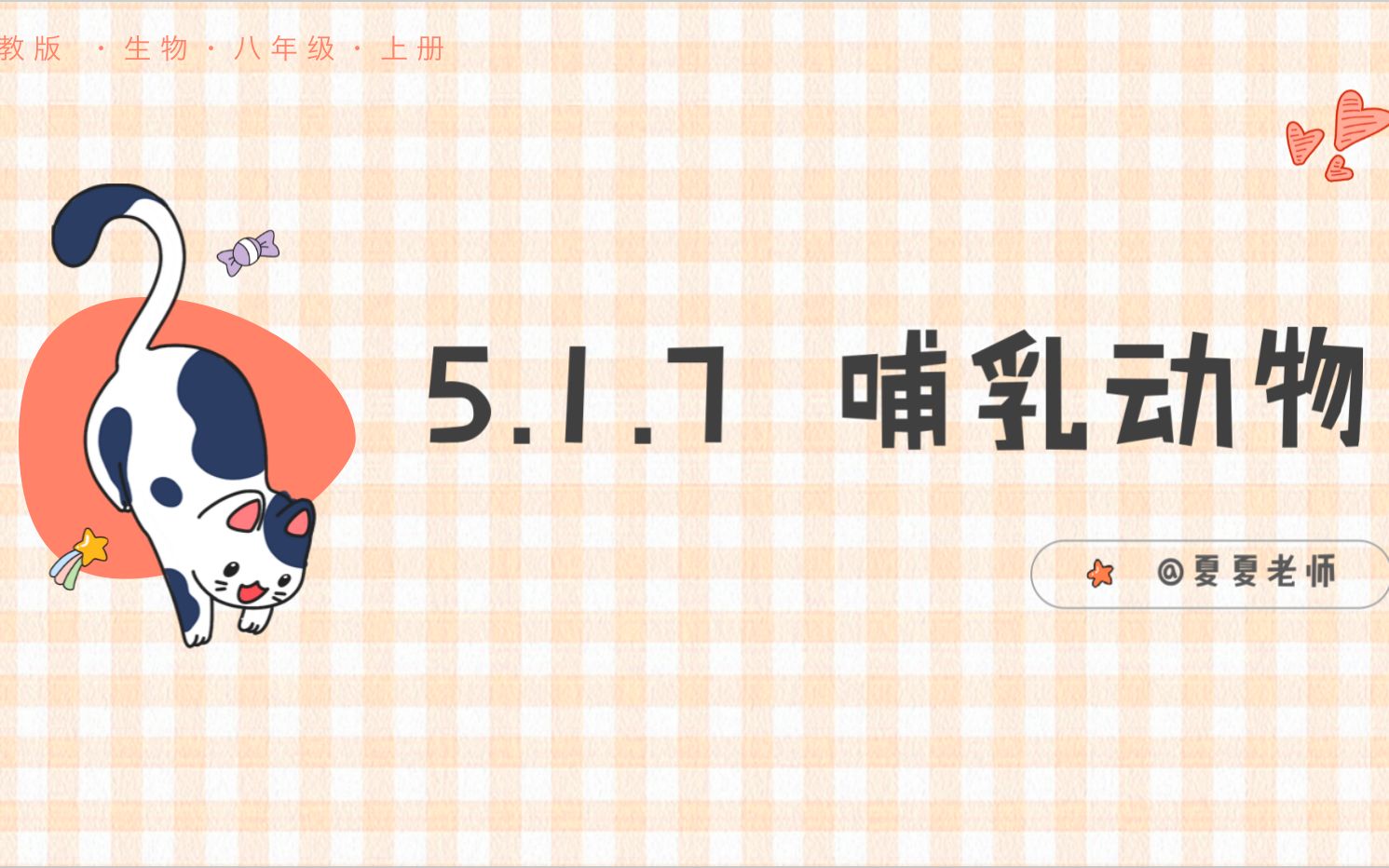 【初中生物】5.1.7 哺乳动物哔哩哔哩bilibili