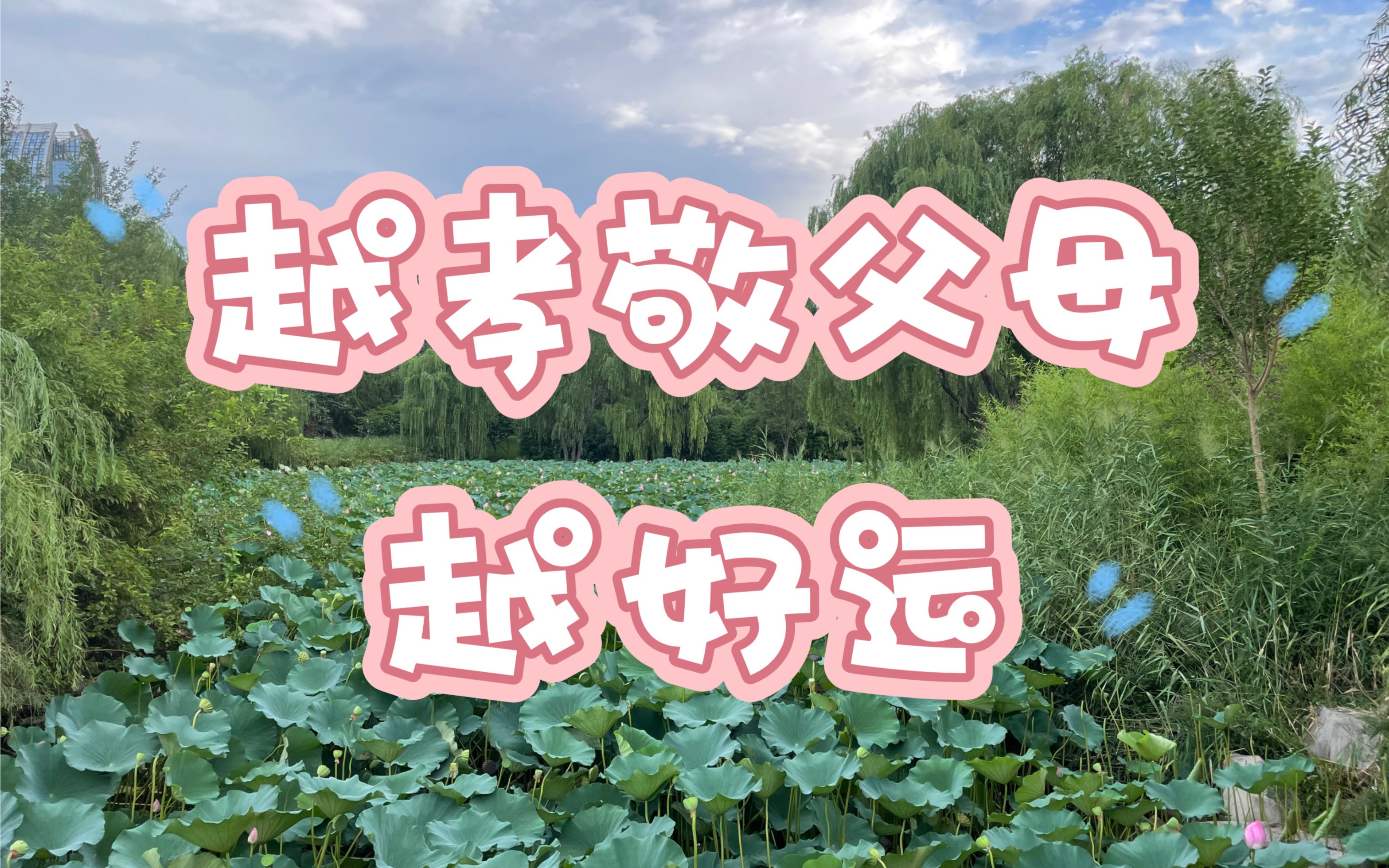 越孝敬父母越好运!