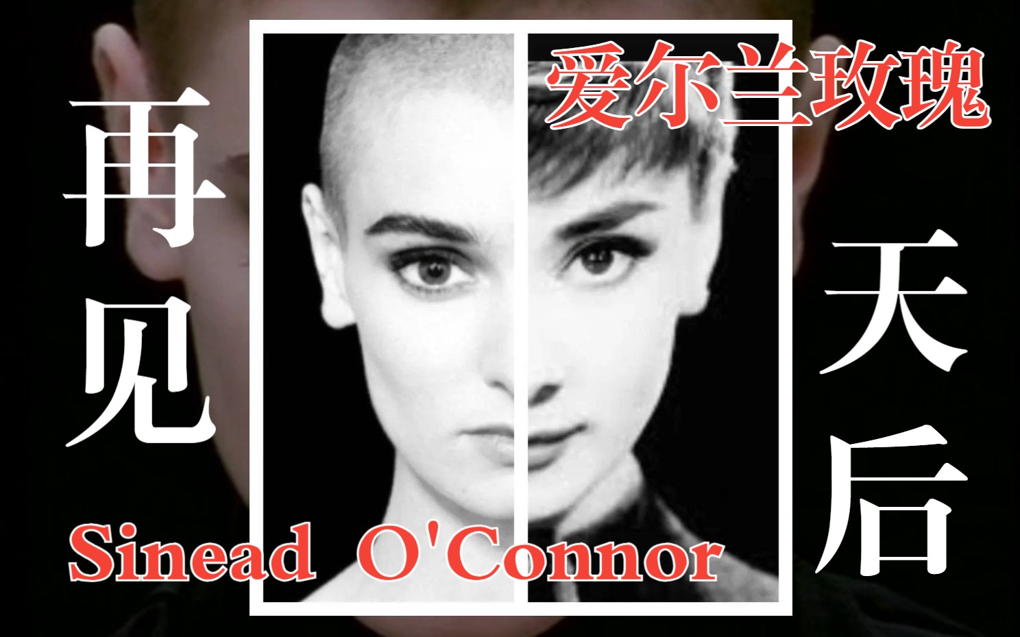 天后陨落!五分钟回顾Sinead O'Connor的一生|希妮德ⷮŠ奥康娜|光头天后|Nothing Compares|无与伦比|王菲|崔健|撕毁照片|平权斗士|哔哩哔哩bilibili