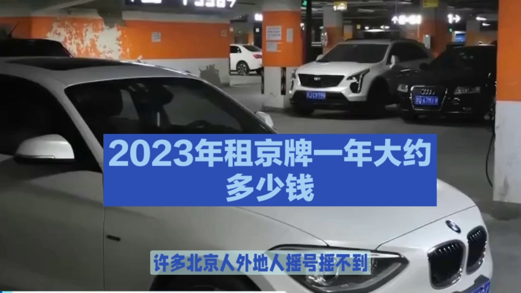 2023年,租京牌一年大约多少元哔哩哔哩bilibili