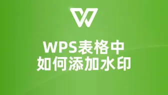 WPS表格快速添加水印，让你的文档更有保障！
