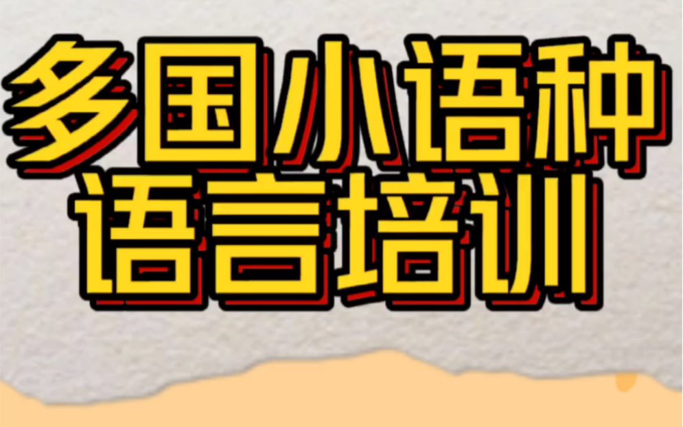 南京外教多国小语种语言培训哔哩哔哩bilibili