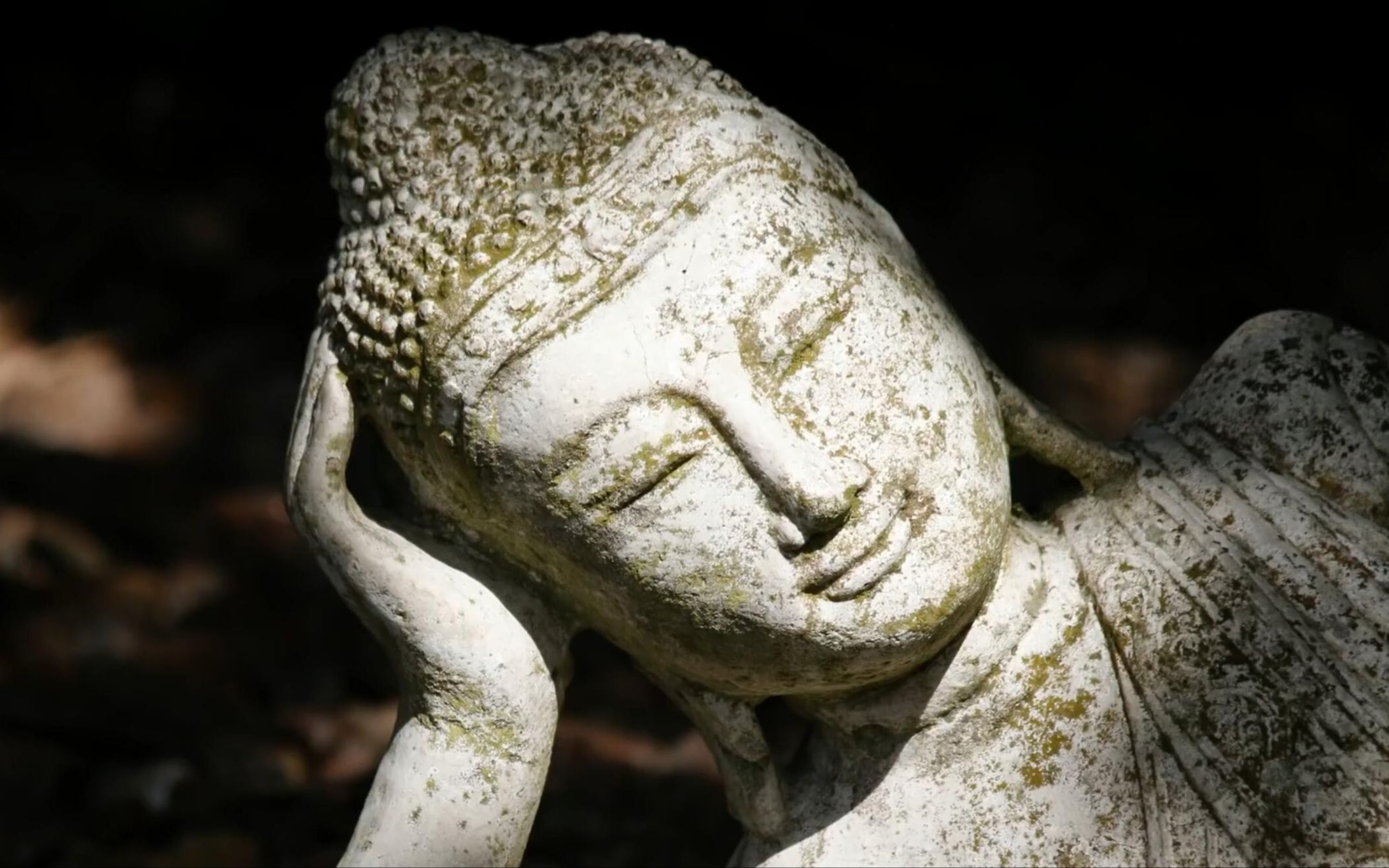 活动  马上回归安宁平静的心 神秘花园 禅修静心冥想音乐