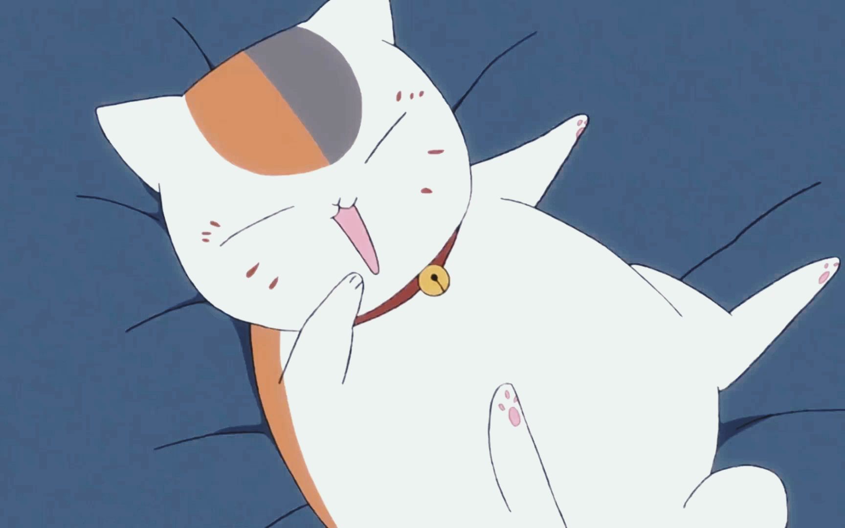 猫咪老师嘤嘤怪,明明可以靠实力,偏要靠撒娇!_哔哩哔哩_bilibili