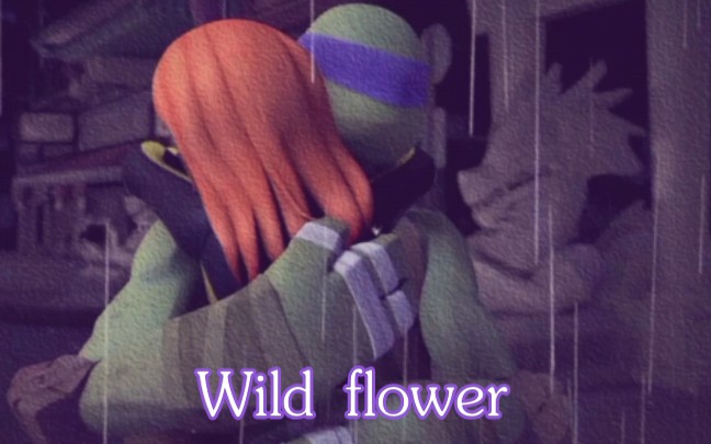 [图]【TMNT2012/剪辑】DA向 Wild flower❁