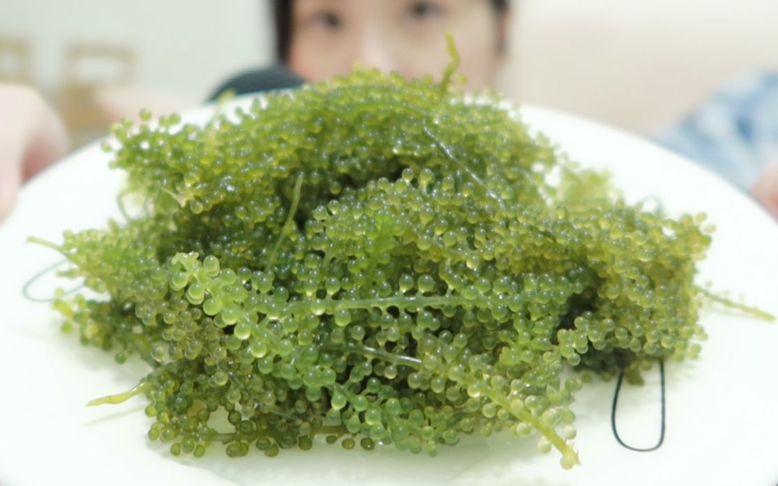 【 sally 】舒壓 助眠 raw sea grapes 海葡萄 (吃東西的聲音)