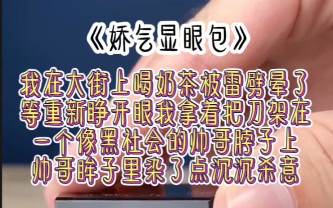 [图]《娇气显眼包》我在大街上喝奶茶被雷劈晕了等重新睁开眼我拿着把刀架在一个像黑社会的帅哥脖子上帅哥眸子里染了点沉沉杀意