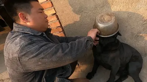 天照天天的动态-哔哩哔哩