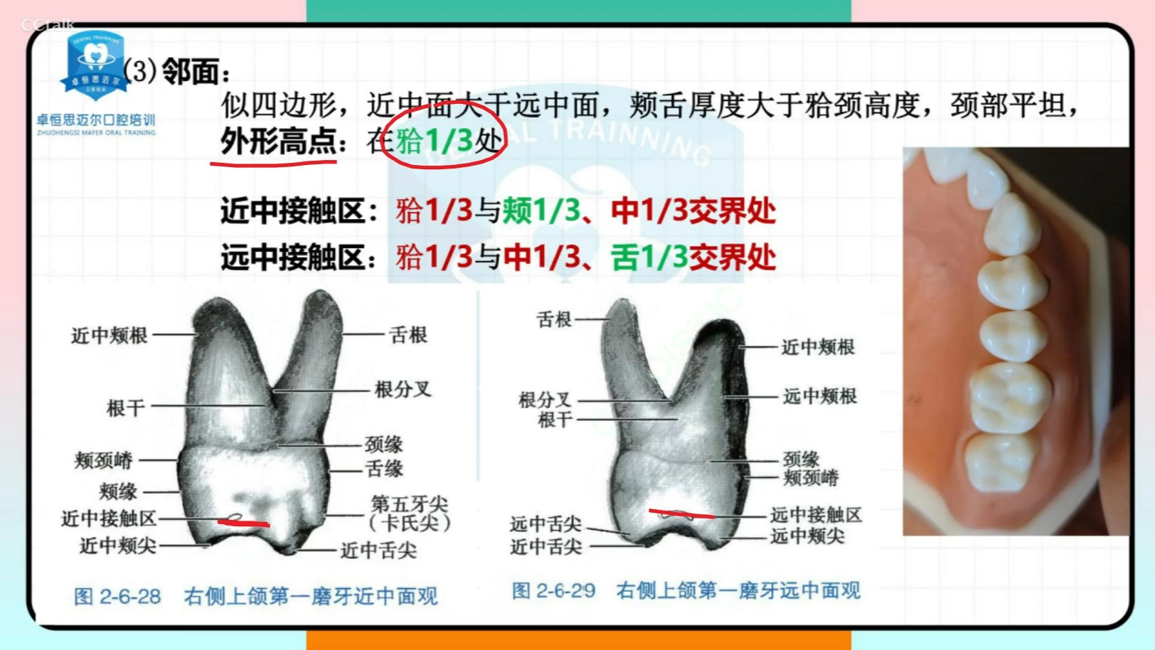 08.口解精讲第二讲2