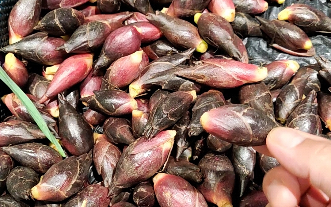 贵州特有的菜洋荷