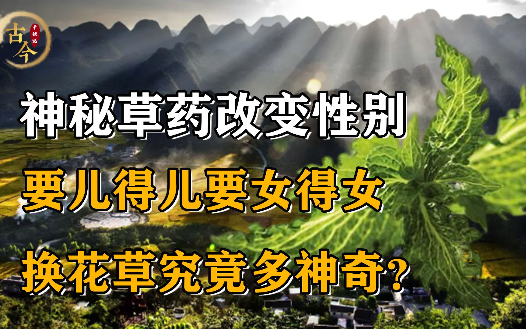 [图]神秘草药改变胎儿性别？要儿要女自己定，换花草究竟多神奇？