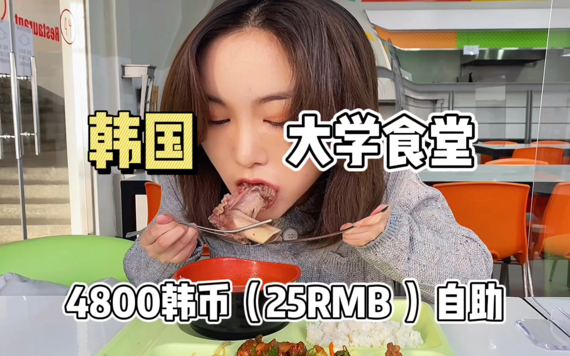 韩国大学食堂,今天居然有牛肉!哔哩哔哩bilibili