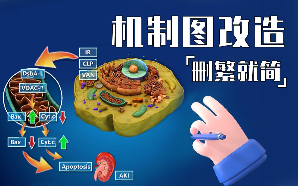 【机制图优化】为了能够既简单操作又美观地改造机制图,我逐步优化做了四个版本哔哩哔哩bilibili