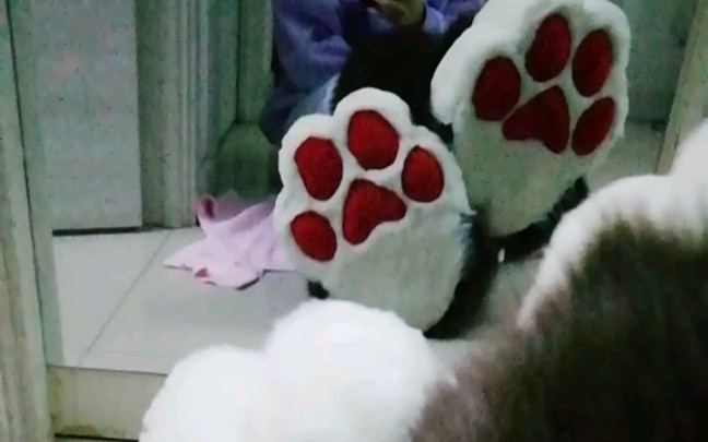 【fursuit】兽装fursuit脚爪哔哩哔哩bilibili