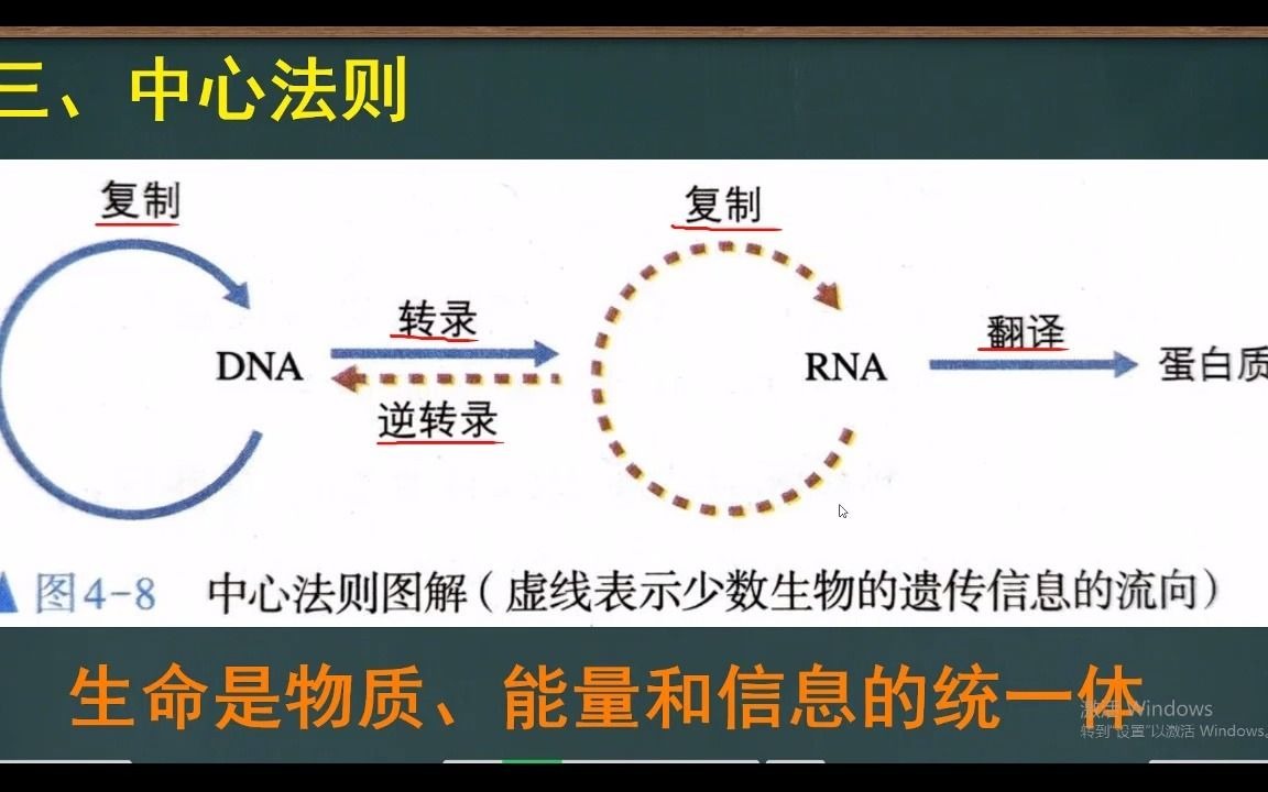 微课:中心法则哔哩哔哩bilibili