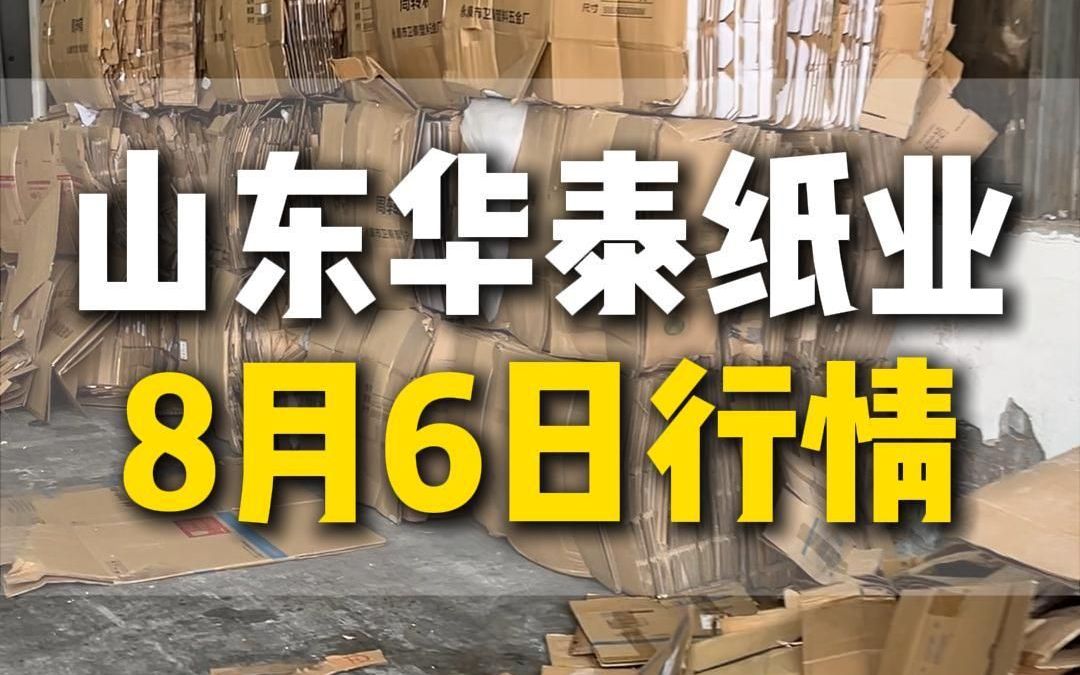 8月6日山东东营华泰纸业行情参考哔哩哔哩bilibili