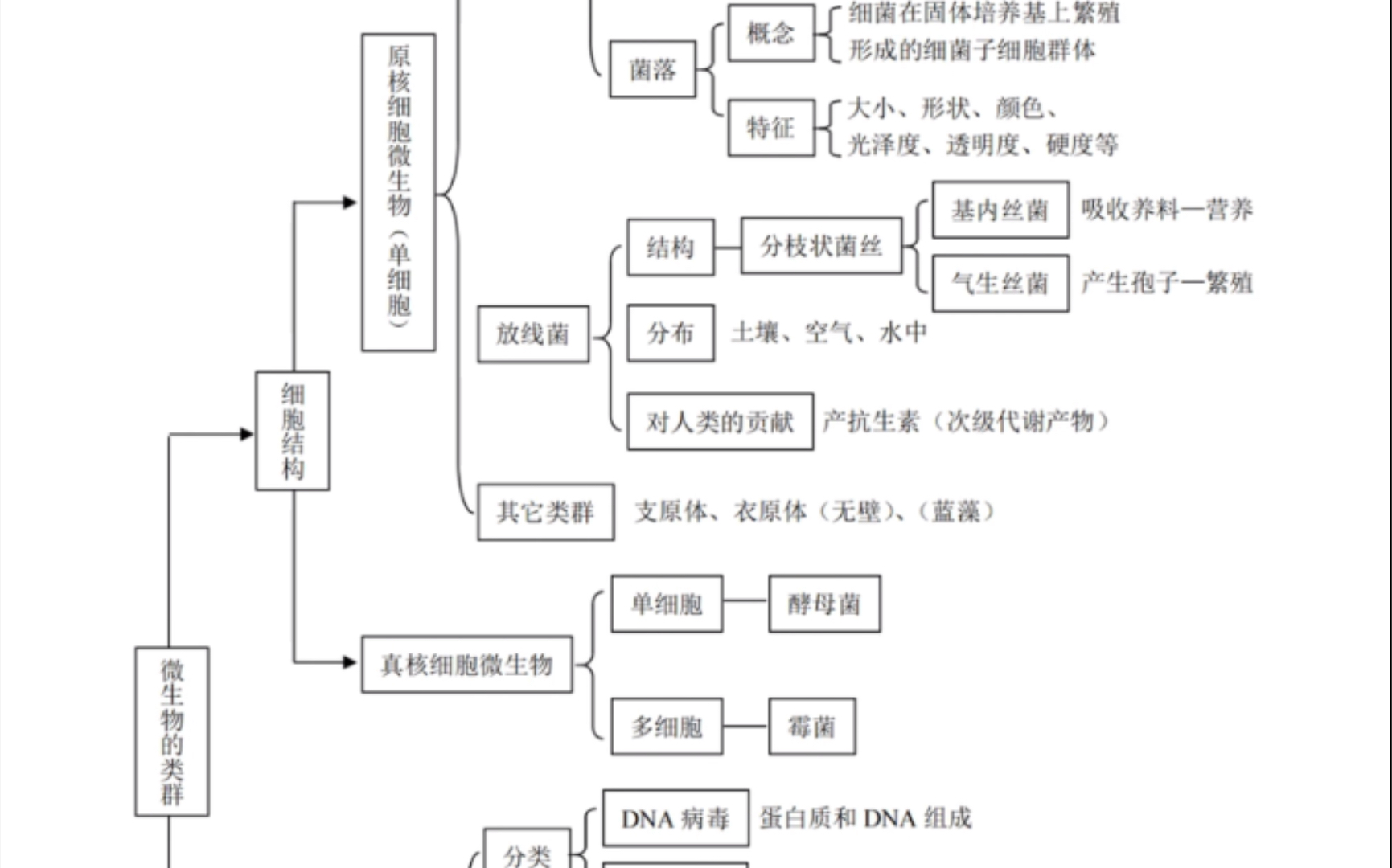 思维导图高中生物知识结构网络图框架梳理知识点总结可下载哔哩哔哩bilibili