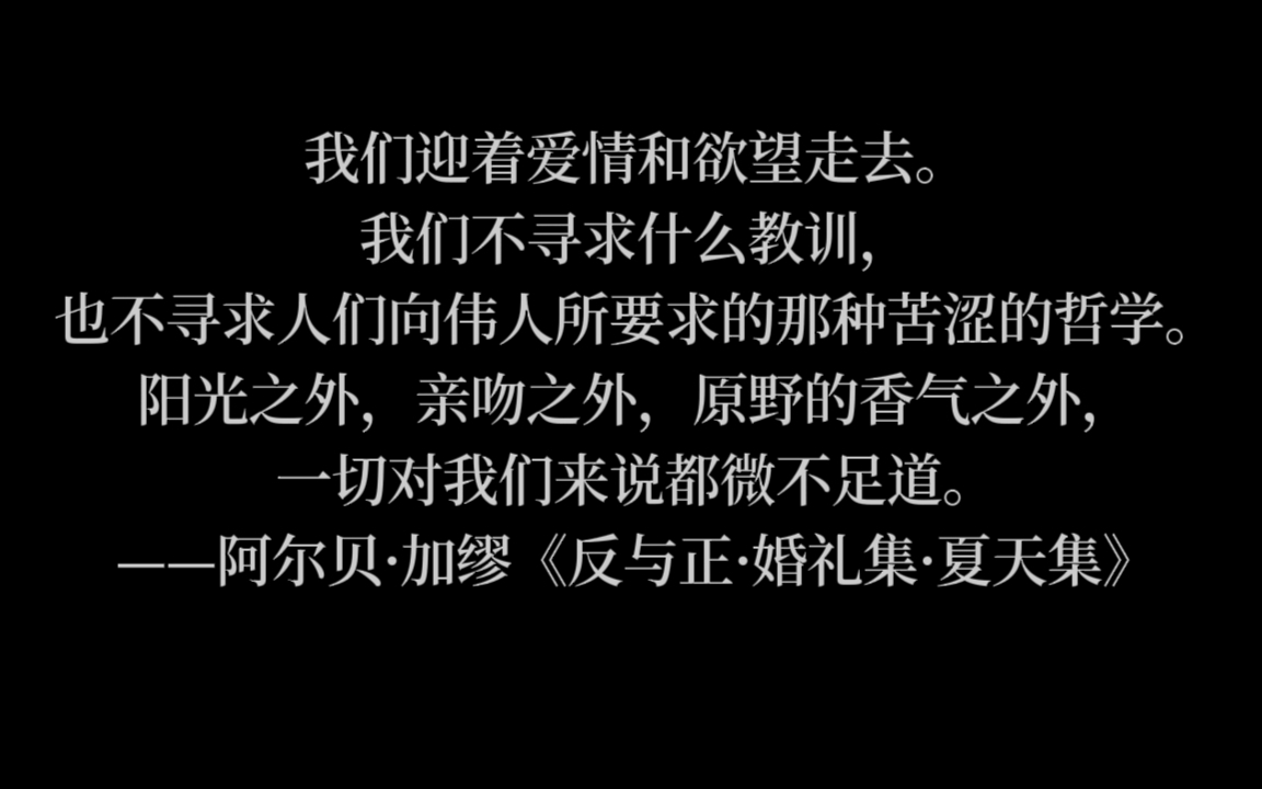 ——阿尔贝ⷮŠ加缪《反与正ⷥ隧伩›†ⷥ䏥䩩›†》哔哩哔哩bilibili