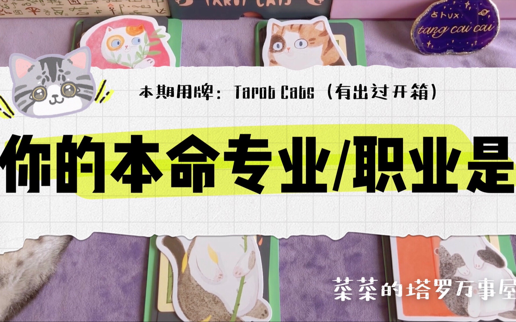 [图]【菜菜塔罗】✏️你的本命专业职业是什么📖专业方向/职业选择/天赋特质/竞争优势/指导灵传讯