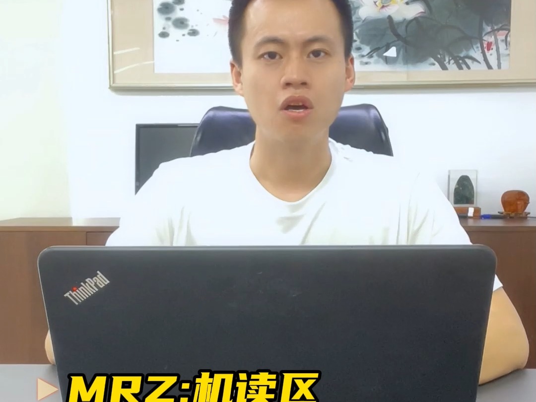 了解MRZ和VIZ——护照的秘密区域!哔哩哔哩bilibili