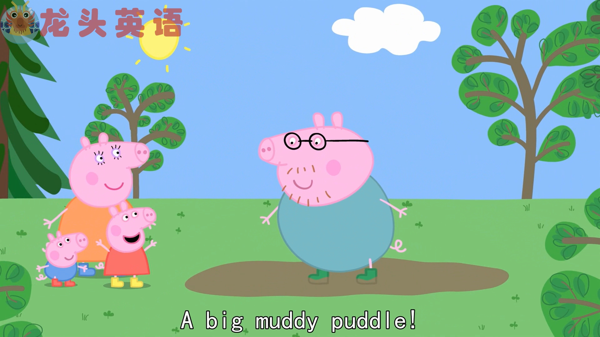 榫欏ご鑻辫锛氭渶濂界殑褰╄櫣瀹濊棌鍒板簳鏄粈涔堝憿锛熺湅灏忕