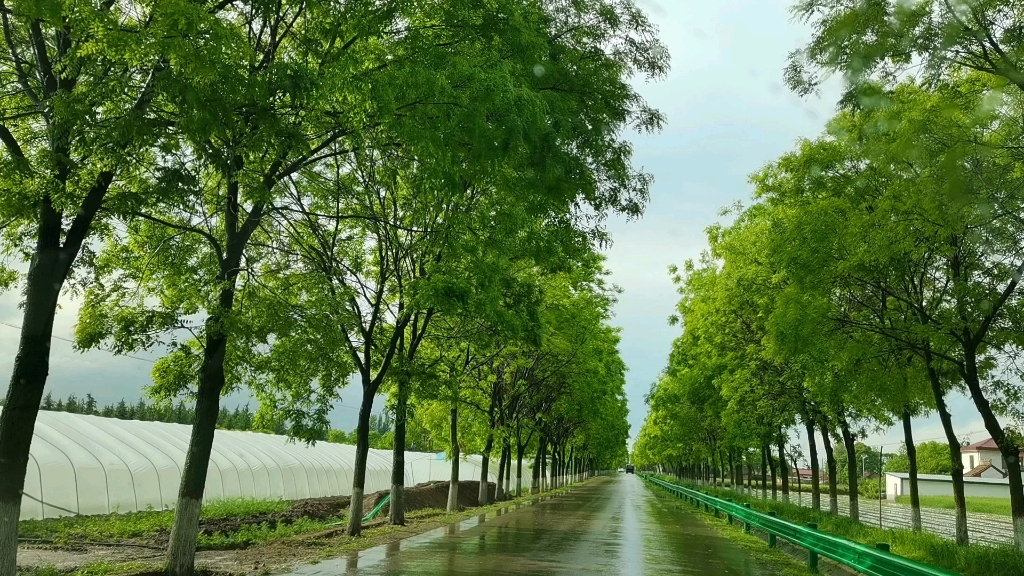 夏日的雨过天晴,谁懂?