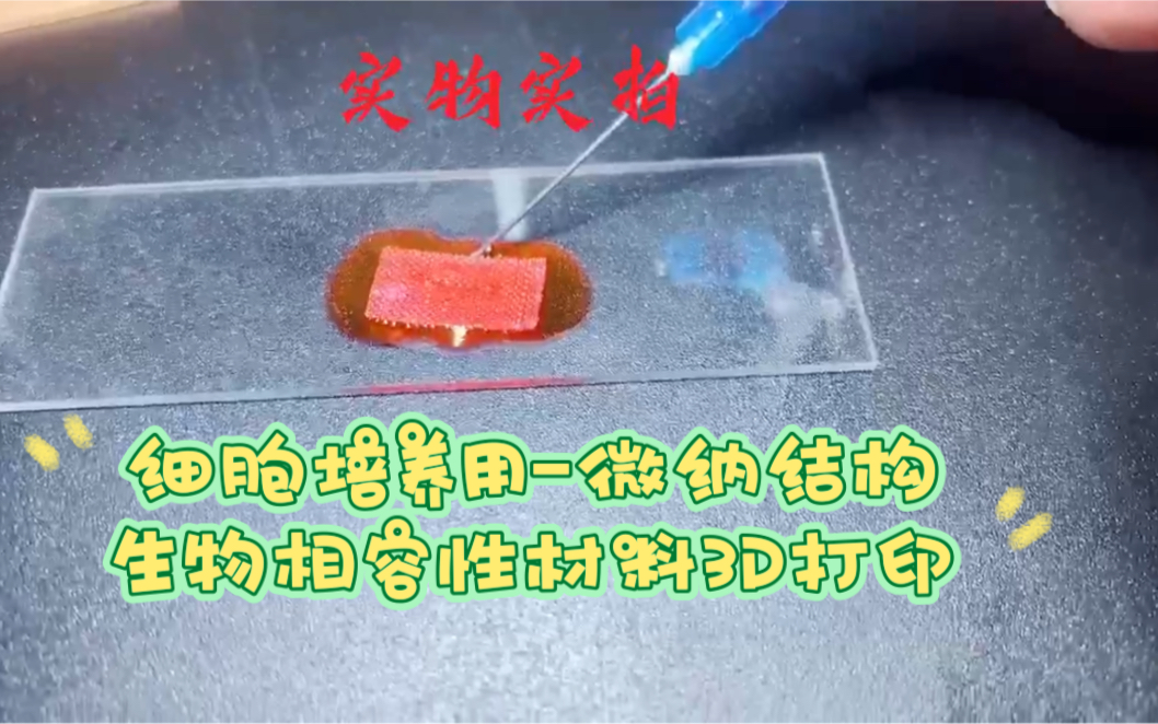 细胞培养用微纳结构生物相容性材料3D打印哔哩哔哩bilibili