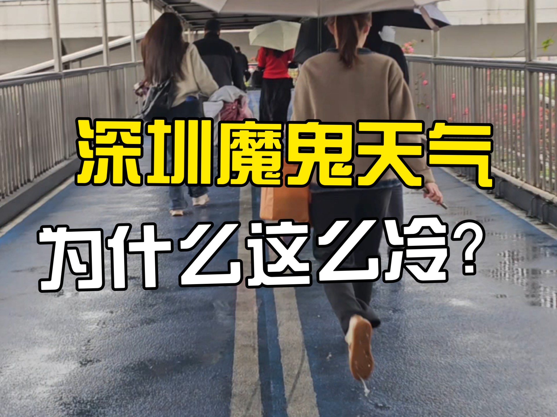 深圳昨天天气预报