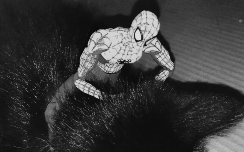 蜘蛛骑士泰坦图片
