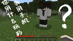 Minecraft国际服的电脑和手机 基岩版 联机教程 哔哩哔哩 つロ干杯 Bilibili