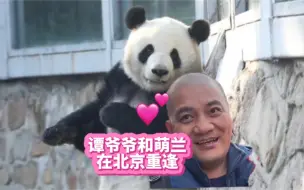 Video herunterladen: 萌兰！嗯！么么儿！谭爷爷来看你啦！时隔6年多7年，谭爷爷和萌兰终于在北京重逢！原来爷爷心里真的一直想着么么儿，我相信智商超群的么么儿也会记得谭爷爷的！