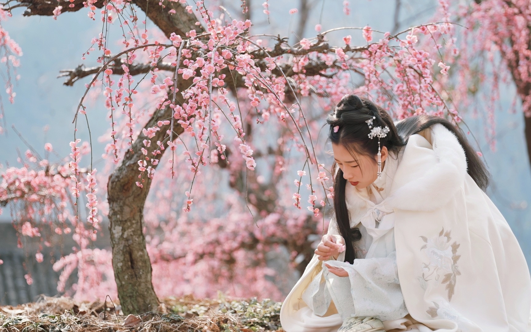 [图]这么好的春日光景，又怎能不到婺源篁岭