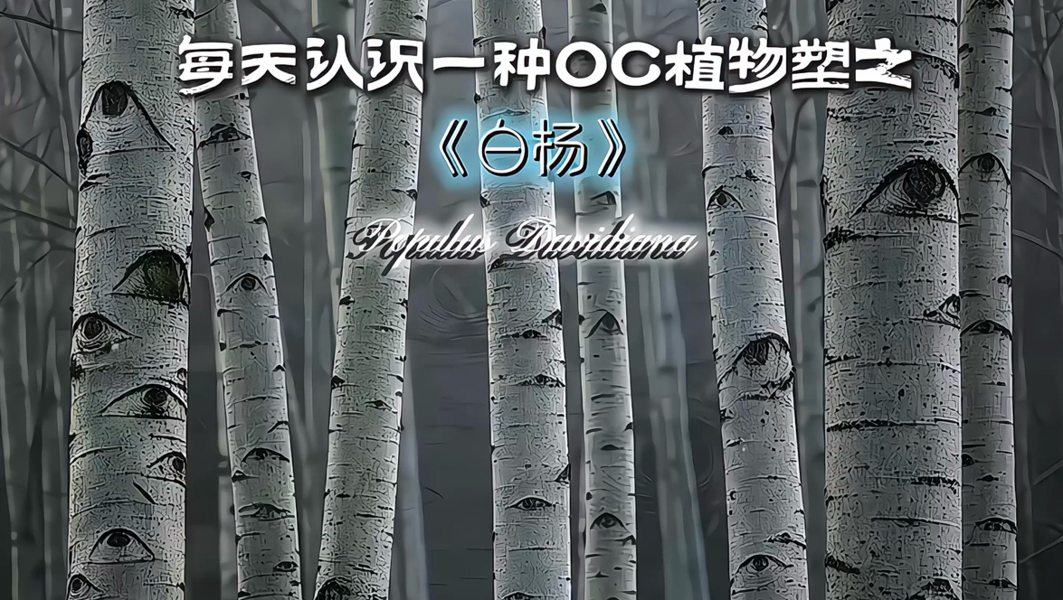 我会用我的眼睛窥探你的罪恶